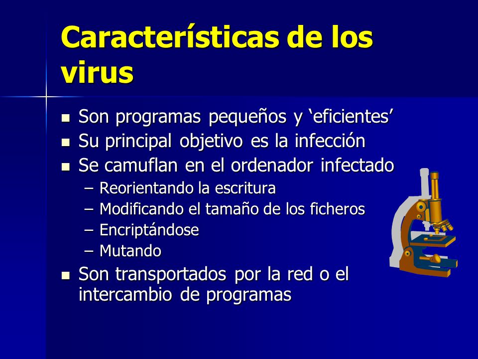 características de los virus informáticos